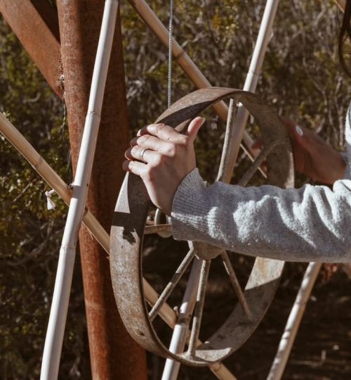 Sendero rodeado de viñedos con distintos varietales de uva en La Calma Ecolodge, Potrerillos, Mendoza.