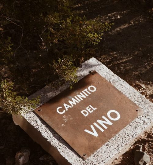 Sendero rodeado de viñedos con distintos varietales de uva en La Calma Ecolodge, Potrerillos, Mendoza.