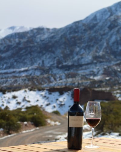 Vino a la orilla del Dique Potrerillos en La Calma Ecolodge en Mendoza.