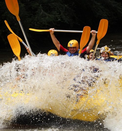 rafting, wave, adventure, boat, rafting.